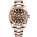 Rolex Skydweller