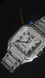 Big Bezel Cartier Bussdown