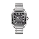 Cartier Santos