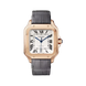 Cartier Santos