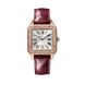 Cartier Santos