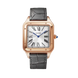 Cartier Santos