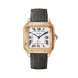 Cartier Santos