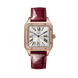 Cartier Santos